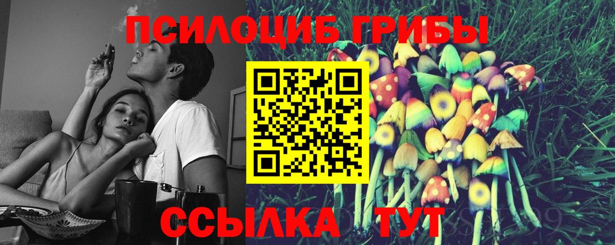 Карачаевск  Галлюциногенные грибы Psilocybe  Галлюциногенные грибы ЛСД  Вход с VPN 
